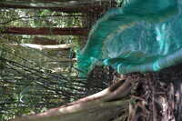  2007-12-10 14.56.38.JPG 